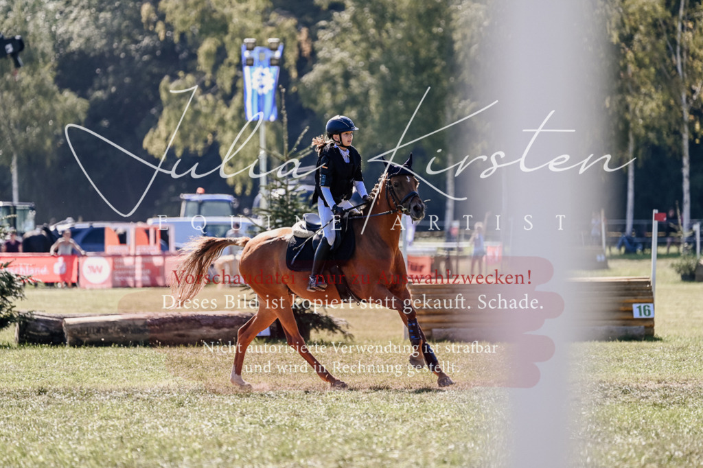 DSC_2969 | Pferde- und Turnierfotografie in Westsachsen. Pferdeportraits, Auftragszeichnungen und intuitive Kunst.