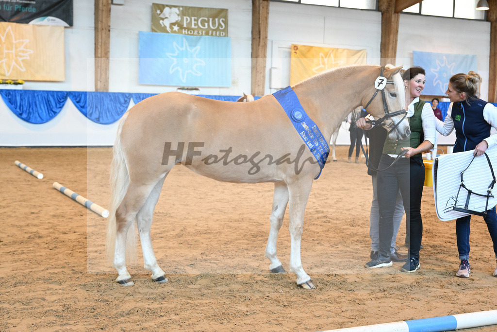Kat-Nr. 7 Daria v. Armani Ass_Obermaier_60221256 | hf-fotografie - Realisiert mit Pictrs.com