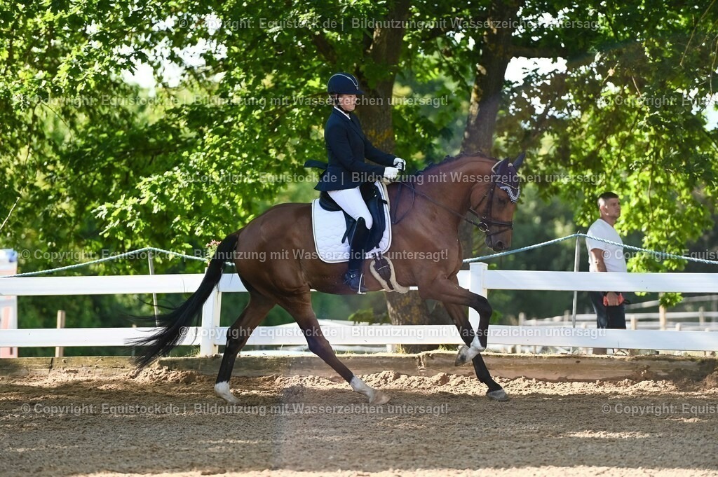 20230715_06_Dressurpferdeprfg. Kl.A_0205 | equistock