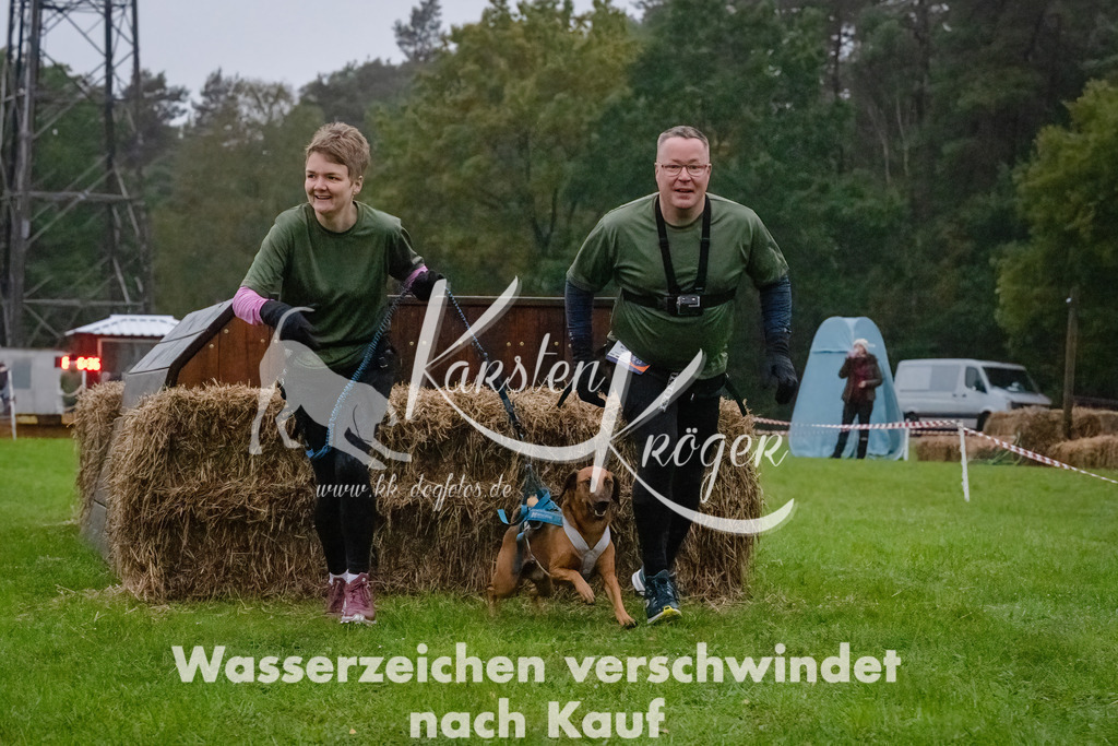 0818-_ZZ90947-Bearbeitet-Bearbeitet | kk-dogfotos
