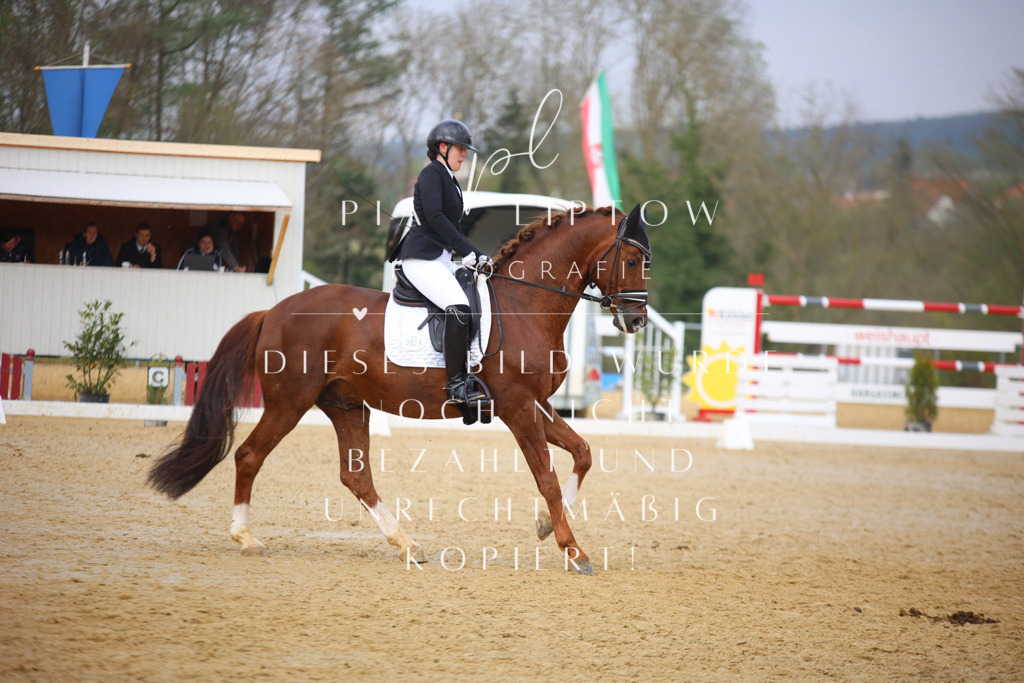 IMGT7616 | pl-fotografie