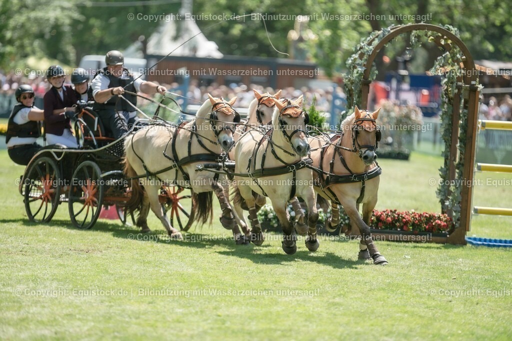 20230528_Jump-and-Drive_0147 | equistock