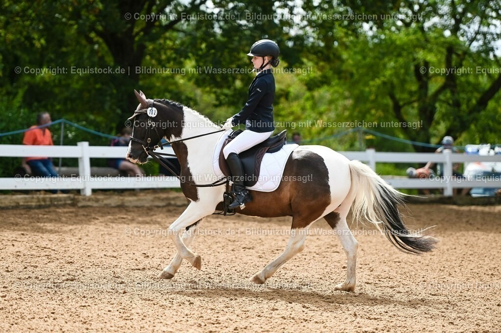 20230716_10-2_Reiter-WB Schritt - Trab - Galopp_0174 | equistock
