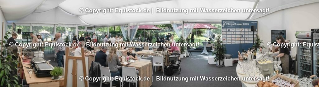 ZFC_4208-Pano | equistock