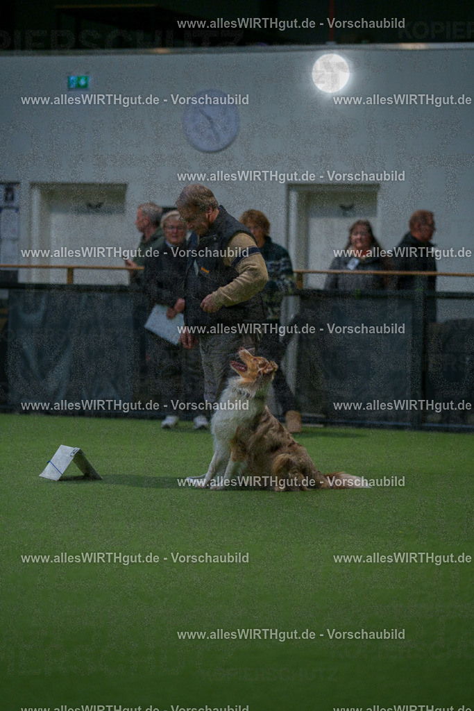 7R505097 | Professionelle Tierfotografie in Mönchengladbach von Daniel Wirth (allesWIRTHgut). Liebevolle & natürliche Bilder von Hunden & Katzen für unvergessliche Erinnerungen.