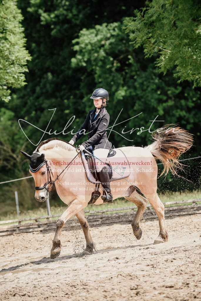 DSC_1672 | Pferde- und Turnierfotografie in Westsachsen. Pferdeportraits, Auftragszeichnungen und intuitive Kunst.