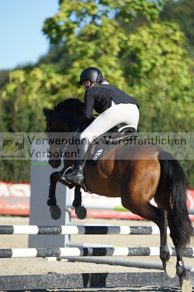 DSC08248 | equestrian-live-com