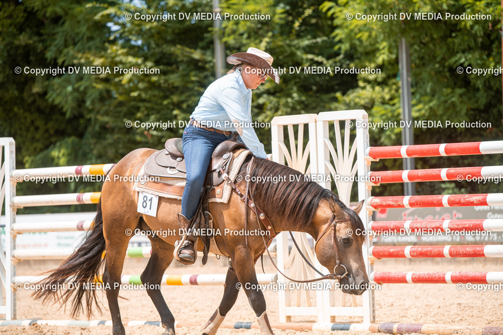 EWP_6513 | dv-media-shop - Realisiert mit Pictrs.com