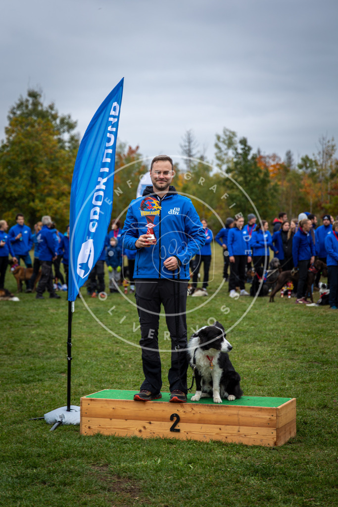 Pfotenfotografie_0L8A0634 | Hundefotografie, Tierfotograf, Pfotenfotografie, Fotoshooting Hund, Hunde Portrait, Hundesport, Hundeportraits, Heideshooting, Hunde, Sportfotograf, Hundefotograf, Turnierhundsport, THS,  - Realisiert mit Pictrs.com