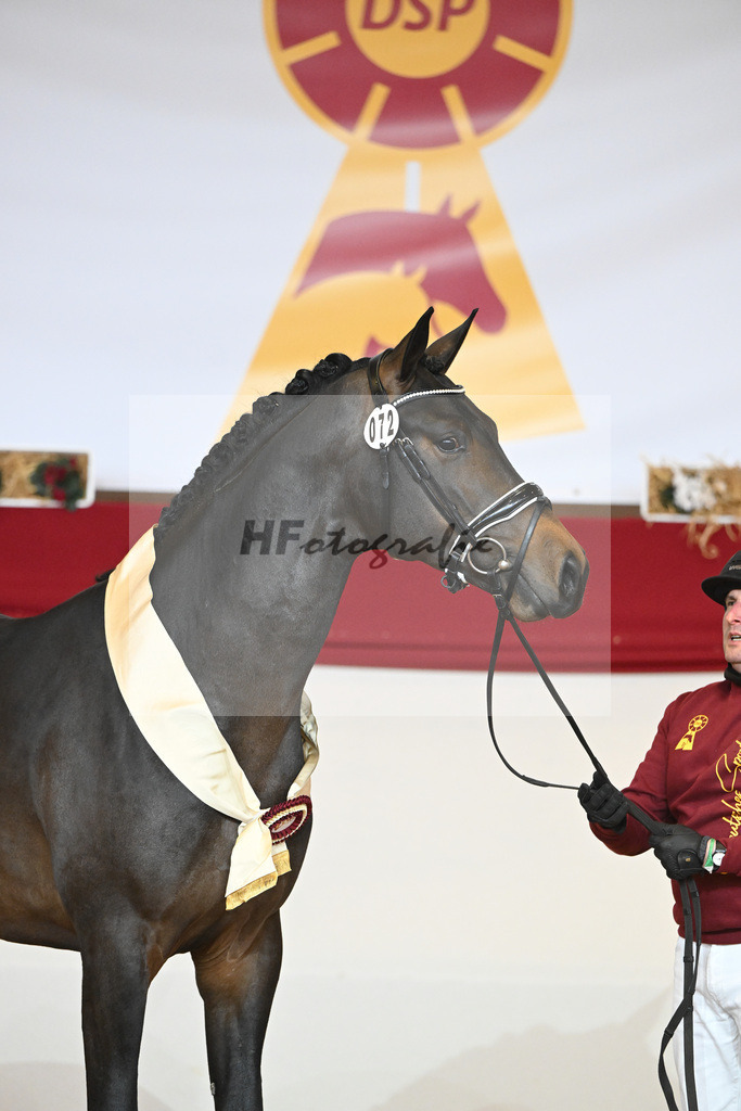Kat-Nr. 72 Vaderland_Durrer_1232175 | hf-fotografie - Realisiert mit Pictrs.com