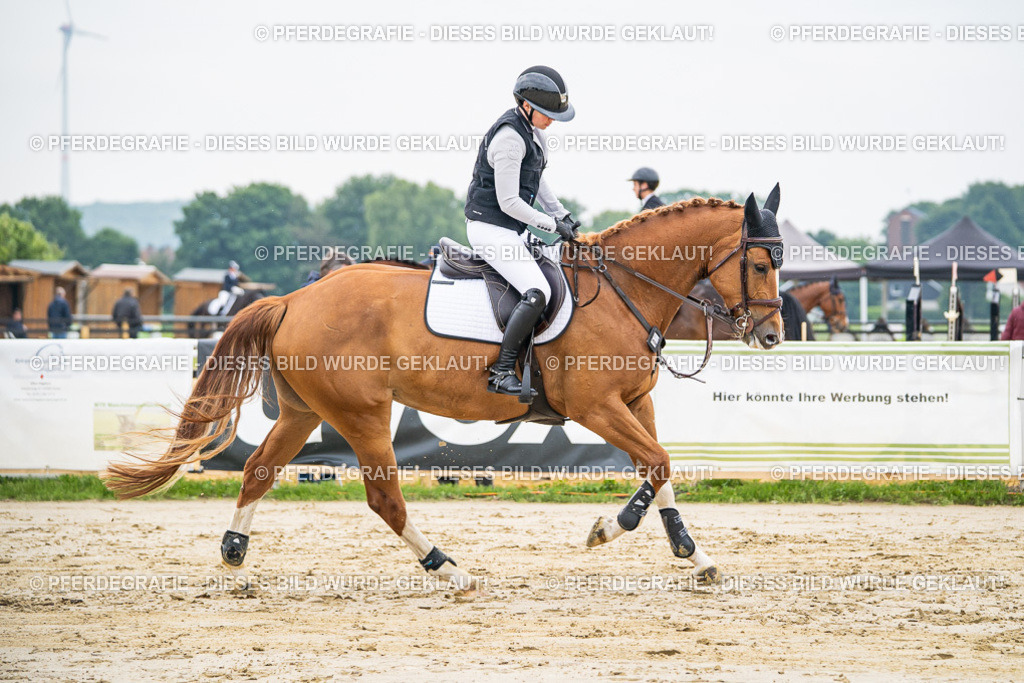 DSC09610 | Pferdegrafie