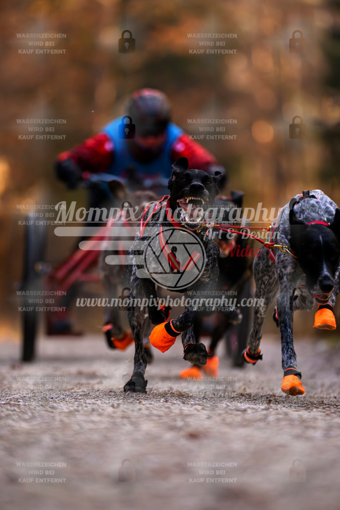 MompixPhotography_DM_AKDM_SO_2025_Wagen-34 | PayLife
