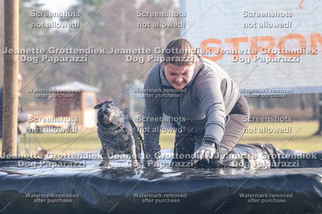 Dog Paparazzi - Strongdog North Mrz26-231 | Dog Paparazzi Jeanette Grottendiek Fotografie & Videografie - Realisiert mit Pictrs.com