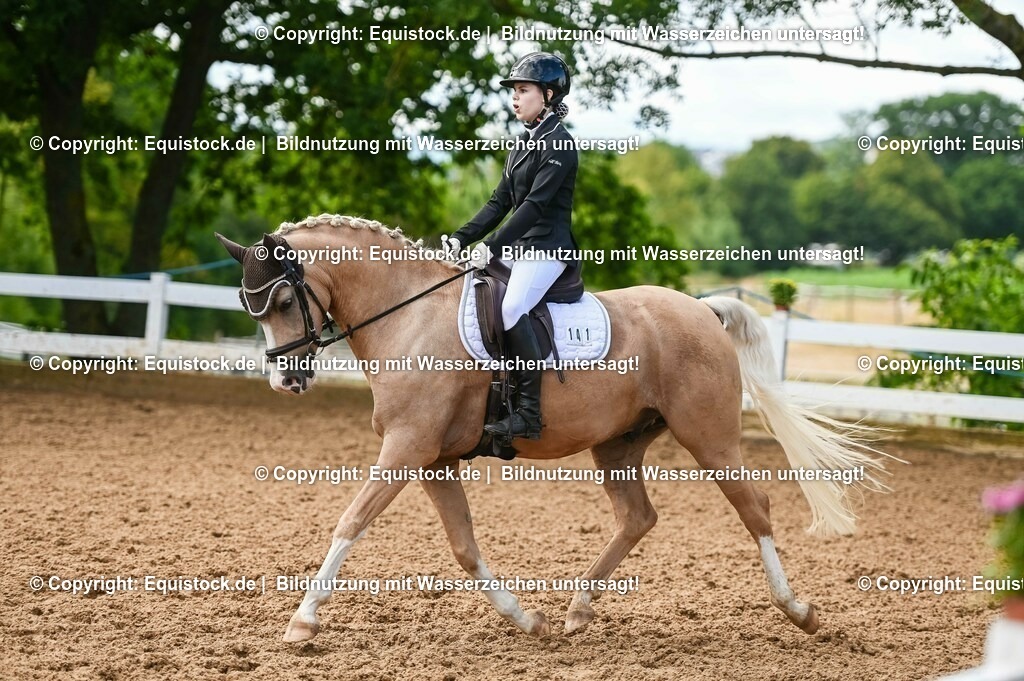 20230716_04_Dressurreiterprüfung Kl.A_0376 | equistock