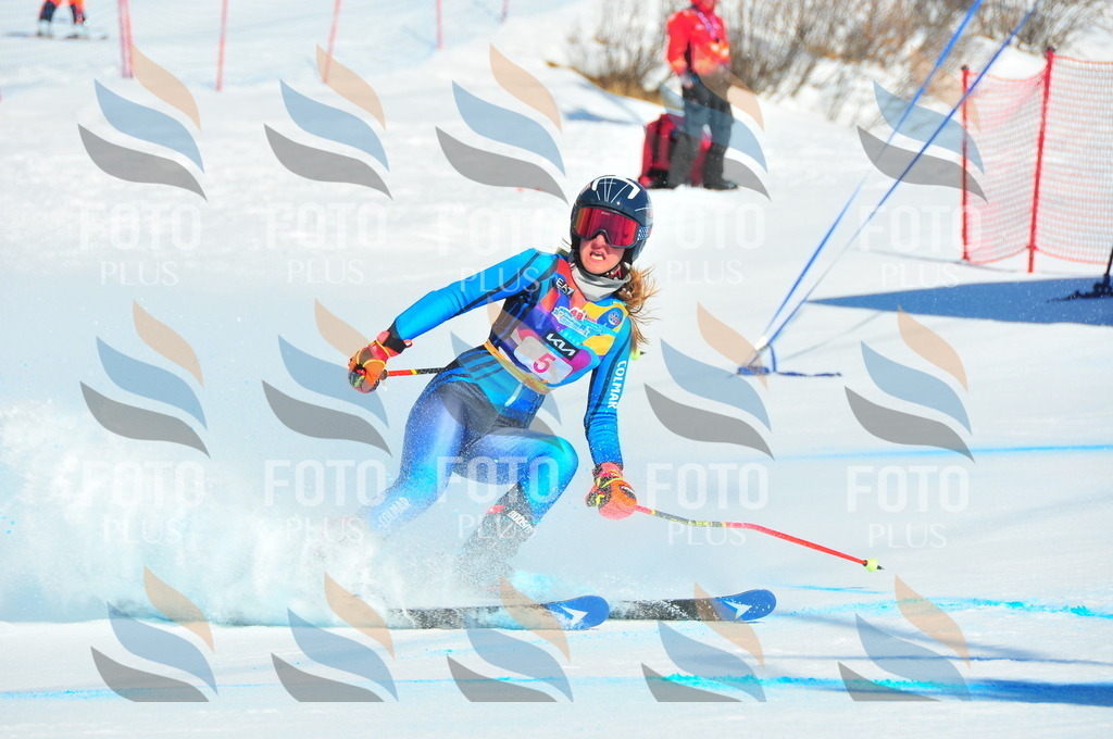 DSC_3695 | holidayphoto