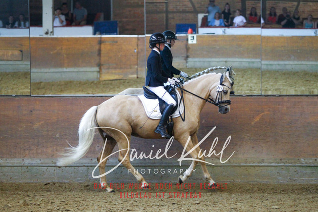 DKP44229 | Turniersportfotografie; Pferdefotografie; Dressurfotografie