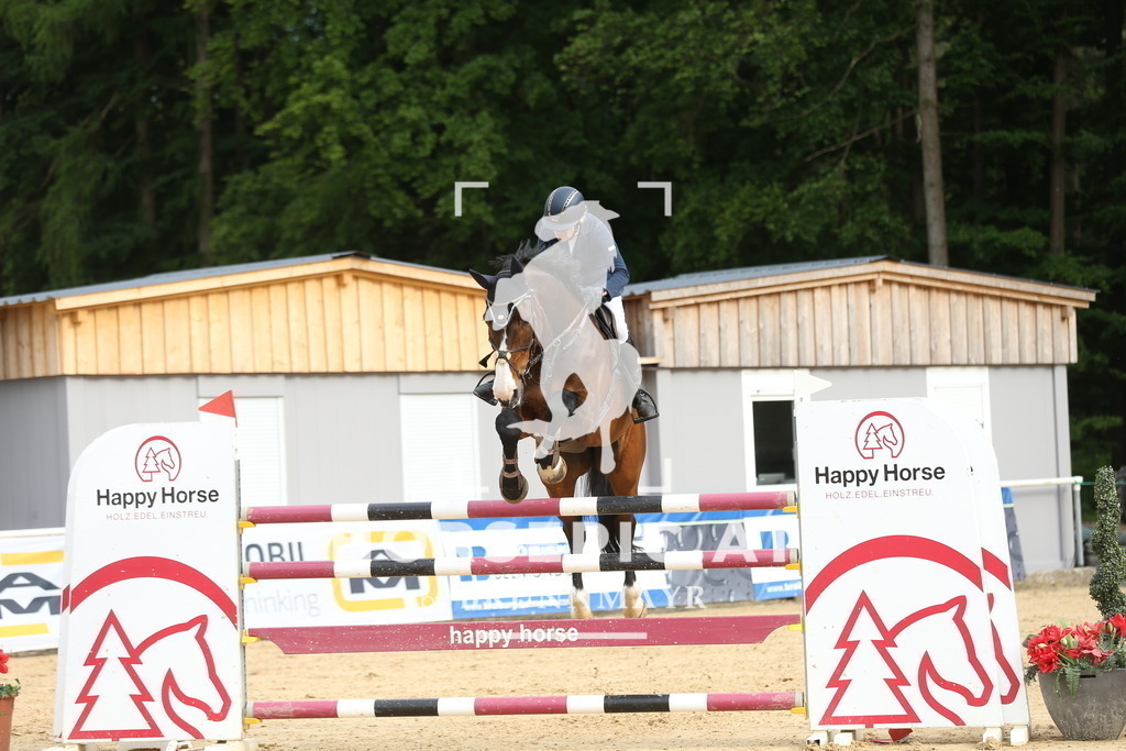 DL2Q4023 | Willkommen bei Brunnmayr - Design & Fotografie – Ihrem Spezialisten für Reitturniere und Pferdeveranstaltungen in Oberösterreich, Salzburg und Bayern! Seit über 17 Jahren sind wir leidenschaftlich dabei.