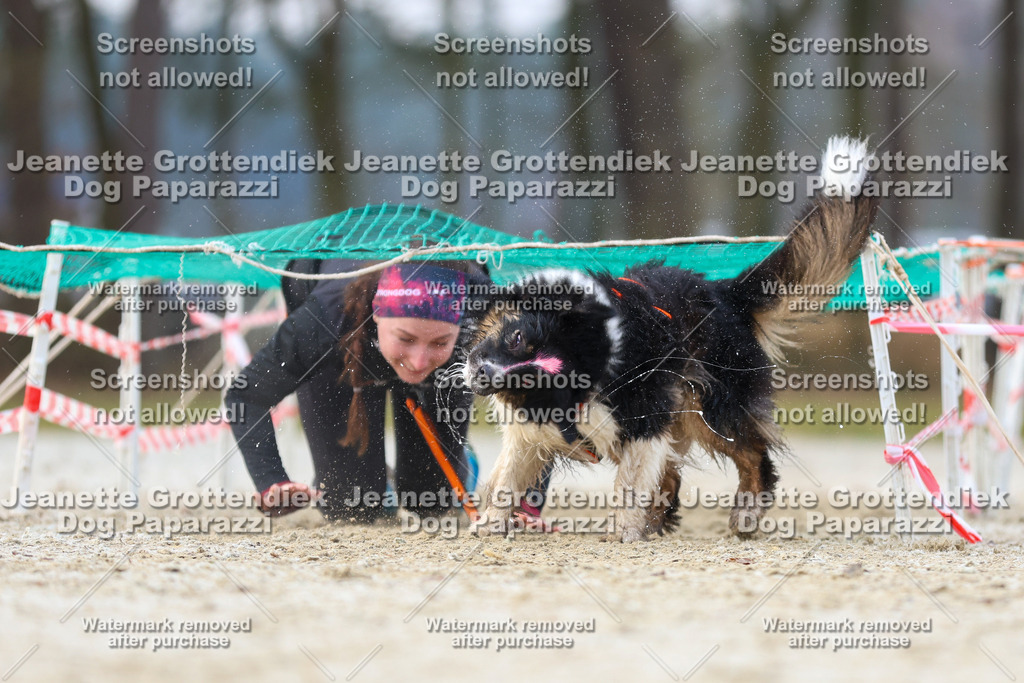 Dog Paparazzi - Strongdog North Mrz26-3852 | Dog Paparazzi Jeanette Grottendiek Fotografie & Videografie - Realisiert mit Pictrs.com