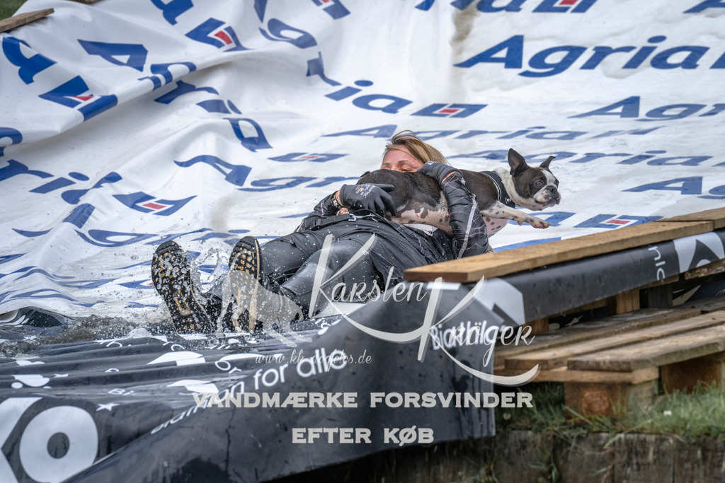 1139_ZZ93299 | kk-dogfotos