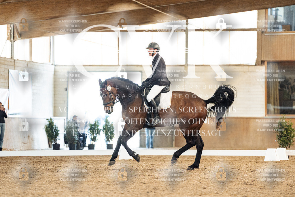 CK909036 | Turnierfotografie Pferdefotografie Trier Rheinland-Pfalz Pferdesport Reitsport Tierfotografie Sportfotografie Pferdevideo Pferdevideografie Equestrianvideography equestrianphotography  - Realisiert mit Pictrs.com