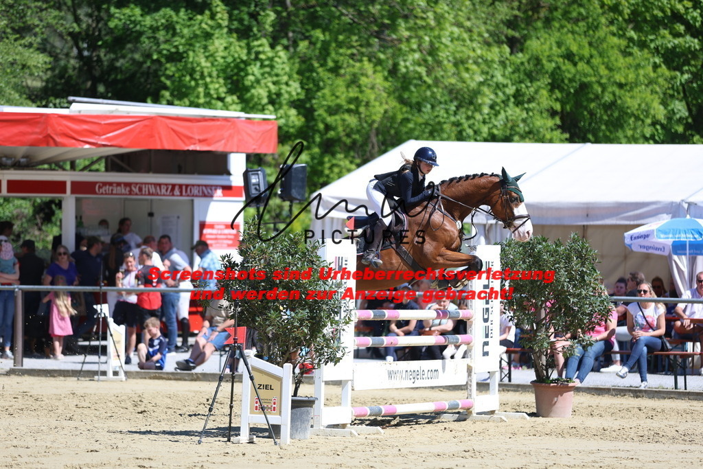 M05A6236 | lmwpictures - Realisiert mit Pictrs.com