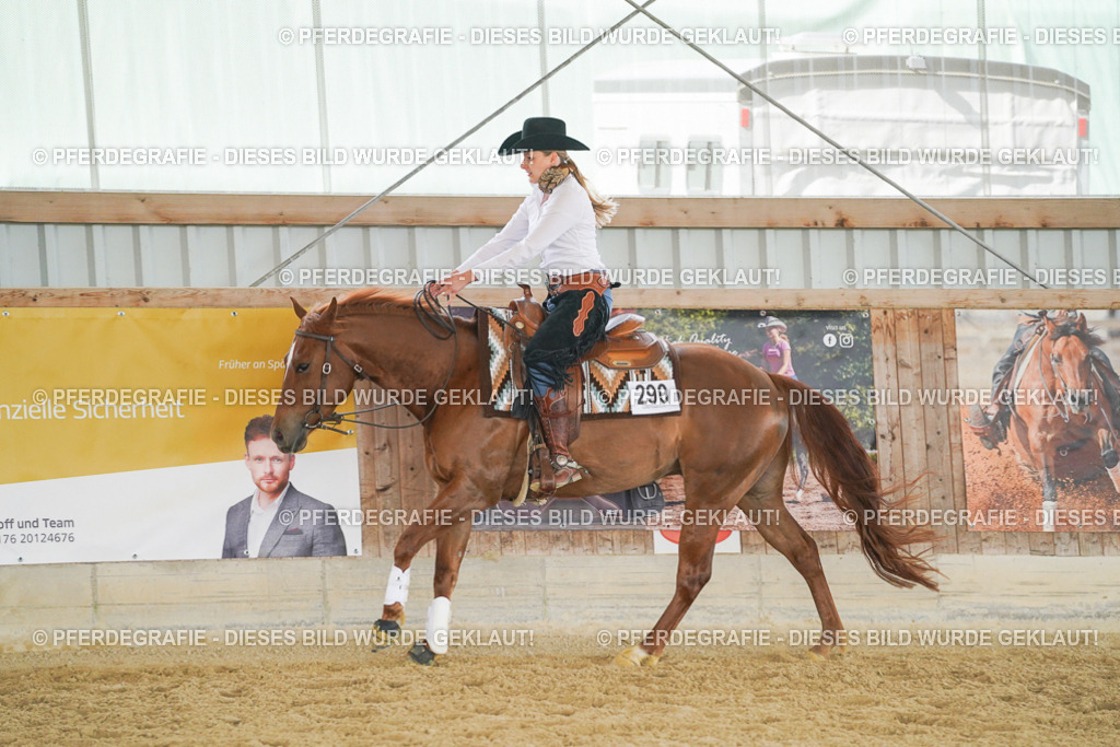 DSC06045 | Pferdegrafie