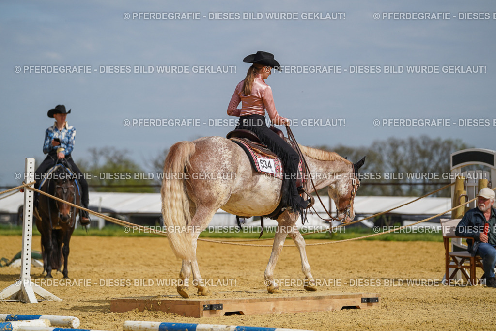 DSC04106 | Pferdegrafie