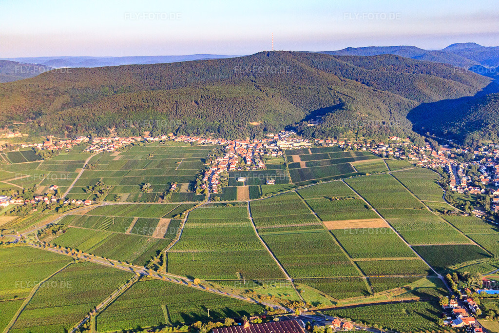 Luftbild: Ortsansicht von Osten im Ortsteil Haardt in Neustadt im Bundesland Rheinland-Pfalz in Deutschland. Foto: IMG_44378.jpg vom 20.08.2011 durch Werner Riehm/FLY-FOTO.deAuflösung des Originals: 4752 x 3168 px