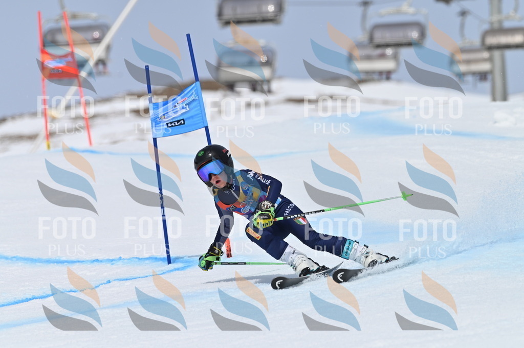 BGV_3684 | holidayphoto