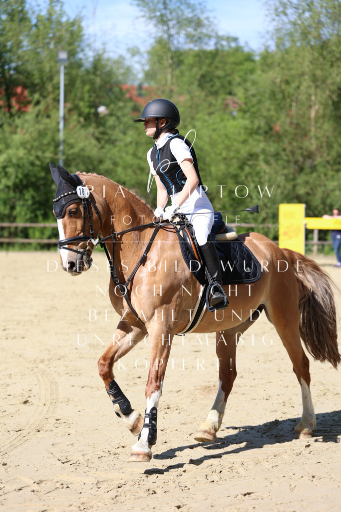 IMGS4736 | pl-fotografie