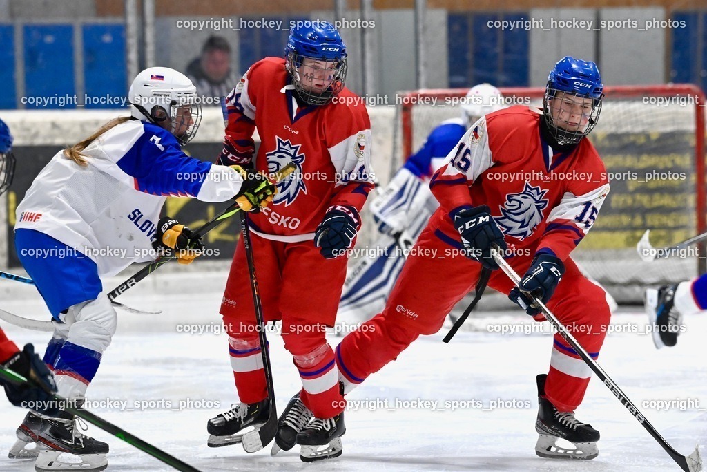 BST_5581 | hockey sports photos, Pressefotos, Sportfotos, hockey247, win 2day icehockeyleague, Handball Austria, Floorball Austria, ÖVV, Kärntner Eishockeyverband, KEHV, KFV, Kärntner Fussballverband, Österreichischer Volleyballverband, Alps Hockey League, ÖFB, 