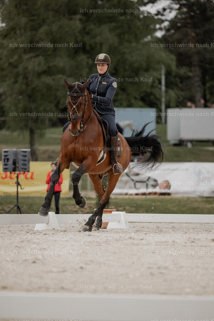 WE_DR_Stoib_340_ _PI2025_113 | Pferd International München 2025