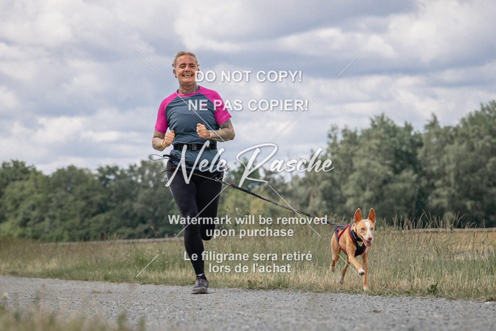 nelerasche_BuHu2026_SaCC1100-1200_174 | nelerasche