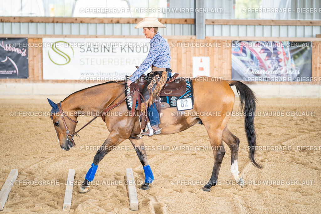 DSC02713 | Pferdegrafie