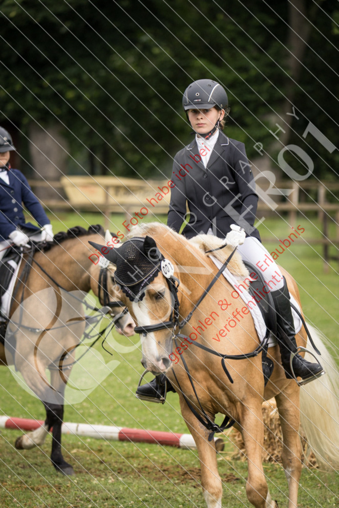 IMG_1615 | Sport-, Event- und Tierfotos in Profiqualität. Einfach auswählen, bestellen und herunterladen. Dein Moment – perfekt festgehalten.