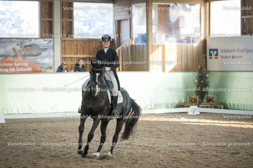 _D5A0798 | Emotionale Pferde- & People-Fotografie rund um Heidelberg, Leimen & Umgebung. Natürliche Fotos von Pferd, Mensch & Familie. Jetzt Termin sichern!