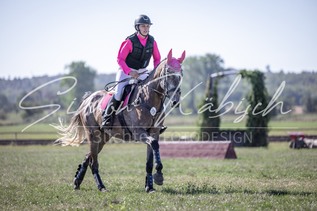 20260906-_3LI2505 | Tierfotografie Pferde, Hunde, Katzen, Haustiere.
Turnierfotografie Reitturniere, Reiten, Springreiten, Dressur in Hanau, dem Main-Kinzig-Kreis und dem Rhein-Main- Gebiet um Frankfurt