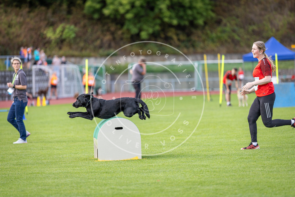Pfotenfotografie_DV3A3184 | Hundefotografie, Tierfotograf, Pfotenfotografie, Fotoshooting Hund, Hunde Portrait, Hundesport, Hundeportraits, Heideshooting, Hunde, Sportfotograf, Hundefotograf, Turnierhundsport, THS,  - Realisiert mit Pictrs.com