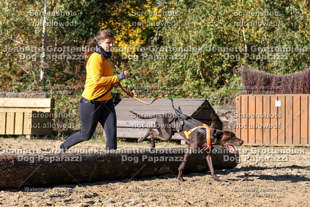 Dog Paparazzi - Strongdog 10-25-2292 | Dog Paparazzi Jeanette Grottendiek Fotografie & Videografie - Realisiert mit Pictrs.com