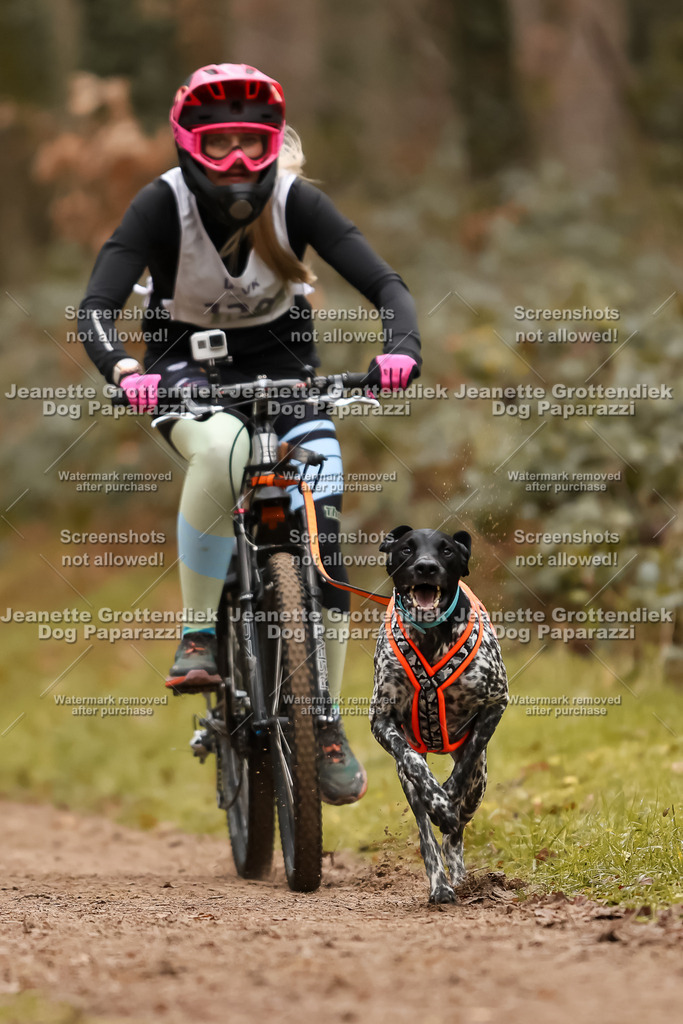 Dog Paparazzi - Speedhunter Mannheim  2025-332 | Dog Paparazzi Jeanette Grottendiek Fotografie & Videografie