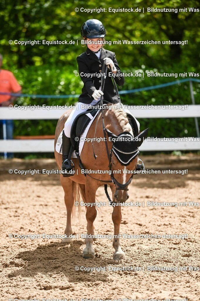 20230716_10-3_Reiter-WB Schritt - Trab - Galopp_0193 | equistock