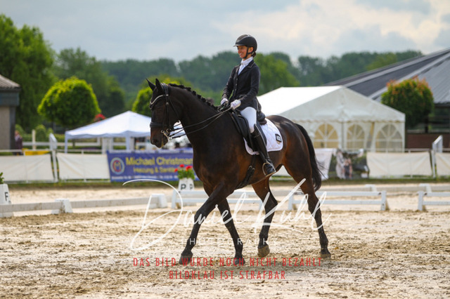 DKP40376 | Turniersportfotografie; Pferdefotografie; Dressurfotografie