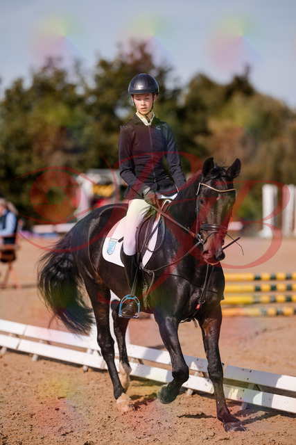 2026_10_03_Siefer-Hof_115422_Z81_93441486 | Professionelle Reitsport-, Turnier- und Eventfotografie von Robert Broda. Galerien mit ausgewählten und bearbeiteten Bildern direkt online ansehen und bestellen.