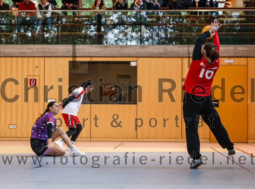 2024-10-13_067_SpVgg_Altenerding_gegen_SC_Freising | Erding, Deutschland, 13.10.2024:Handball, Bezirksoberliga Frauen Altbayern 2024 / 2024, 3. Spieltag, SpVgg Altenerding gegen SC Freising, Endergebnis: 26:35Michelle Gruber (SpVgg Altenerding, #7), Eduarta Krasnigi (HSG Freising-Neufahrn, #4), Hanna Knecht (HSG Freising-Neufahrn, #16)Foto: Christian Riedel / fotografie-riedel.net