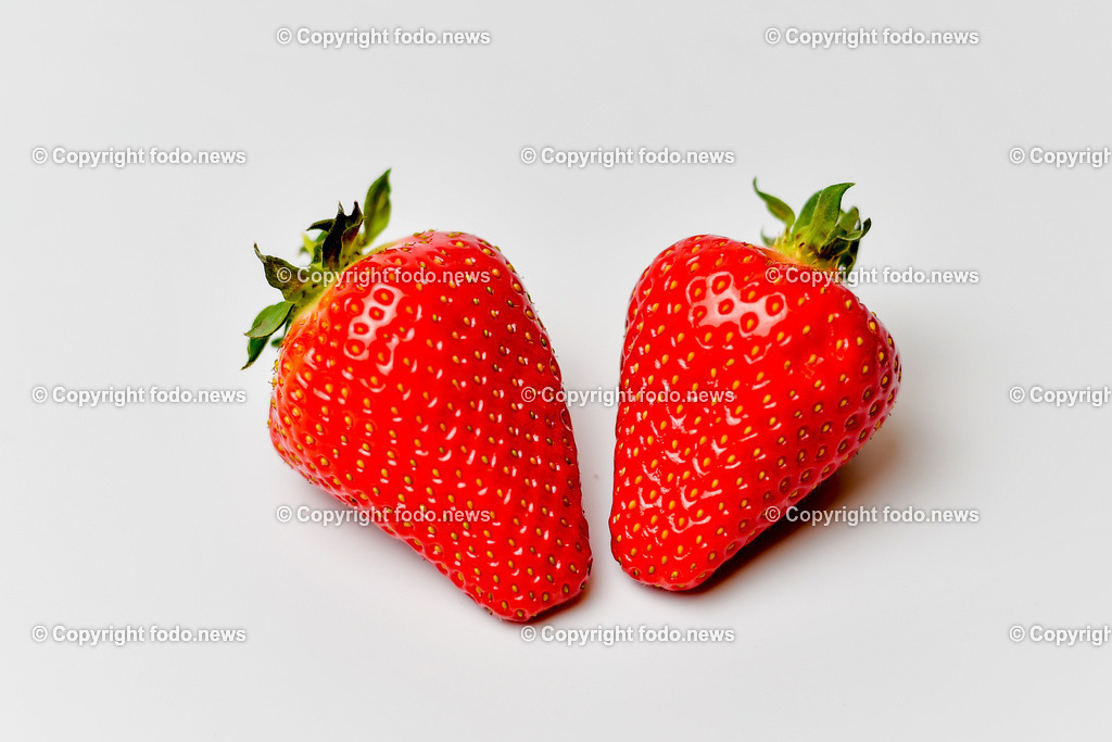 Erdbeeren Lehner_ Haag_ 17.05.2023-32 | 17.05.2023, Haag, AUT, Erdbeeren Lehner, im Bild Erdbeeren