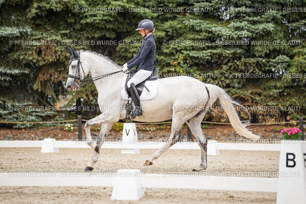 DSC07769 | Pferdegrafie