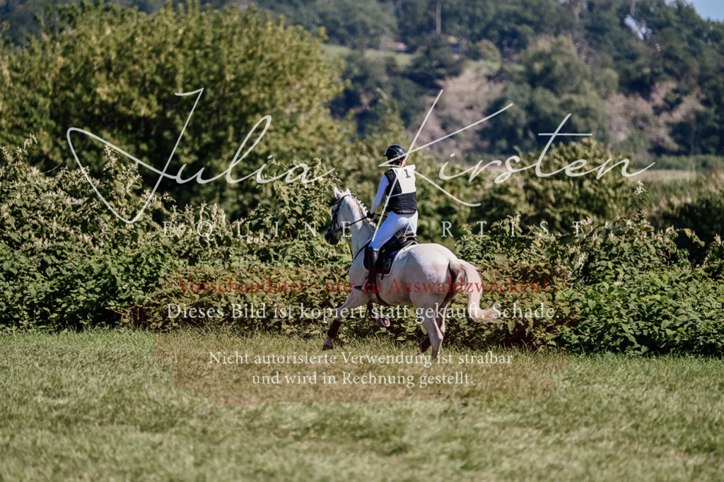 DSC_2025 | Pferde- und Turnierfotografie in Westsachsen. Pferdeportraits, Auftragszeichnungen und intuitive Kunst.