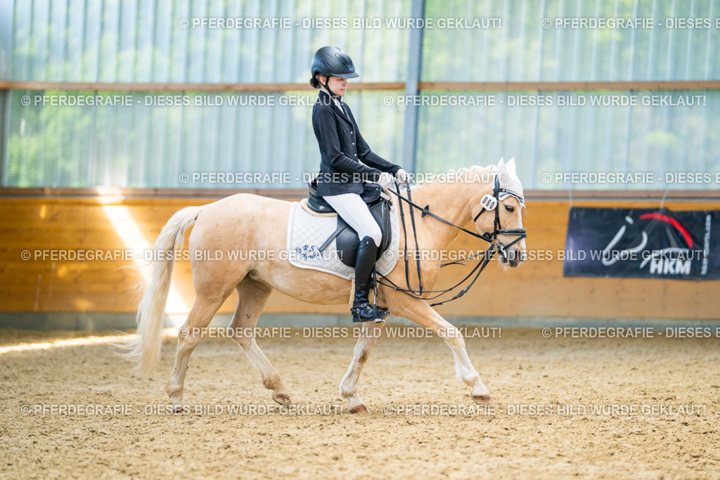 DSC08596 | Pferdegrafie