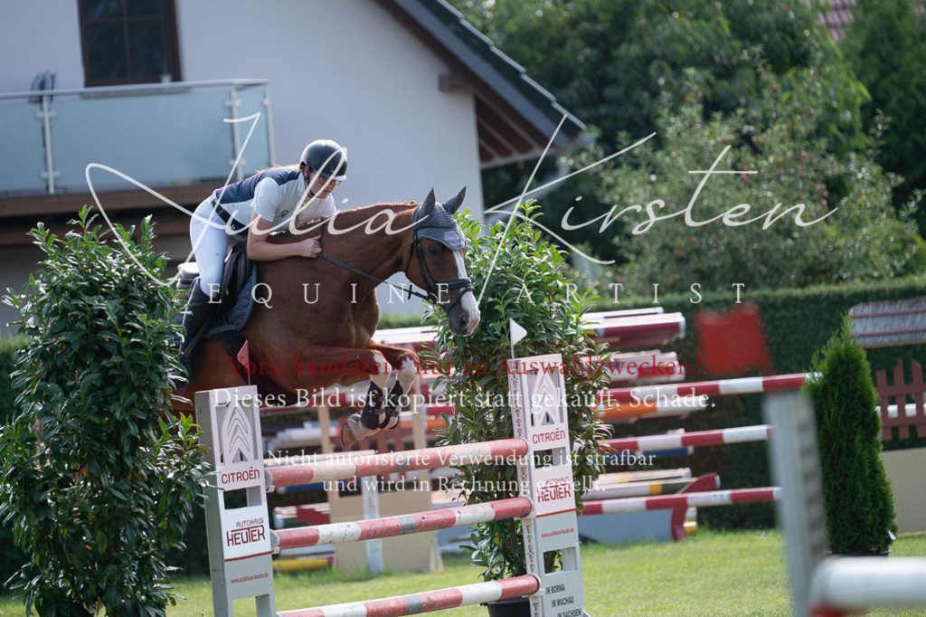 DSC_0944 | Pferde- und Turnierfotografie in Westsachsen. Pferdeportraits, Auftragszeichnungen und intuitive Kunst.