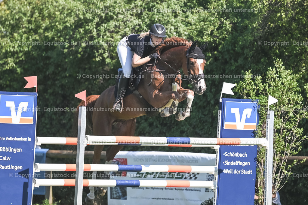 20230908_21_Punktespringen_M_0065 | equistock